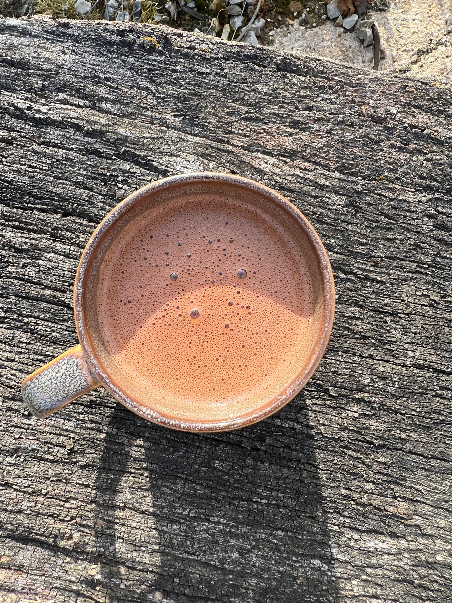 Lion's Mane Cacao Drink