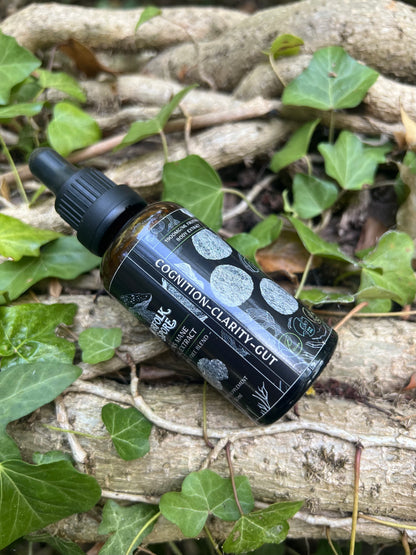 Lion's Mane Dual Extract 50ml