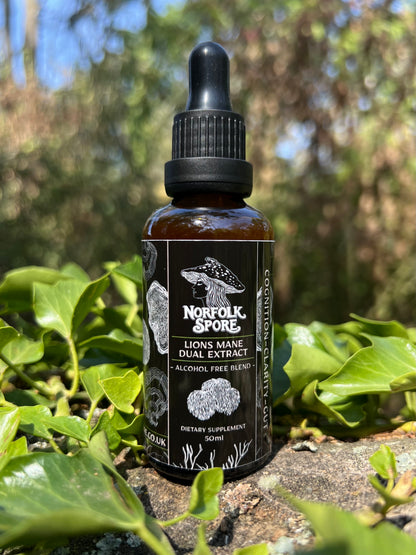 Lion's Mane Dual Extract 50ml