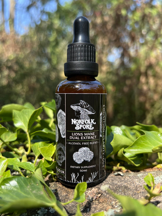 Lion's Mane Dual Extract 50ml