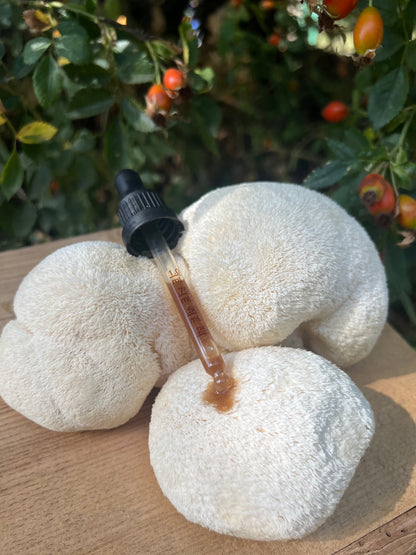 Lion's Mane Dual Extract 50ml